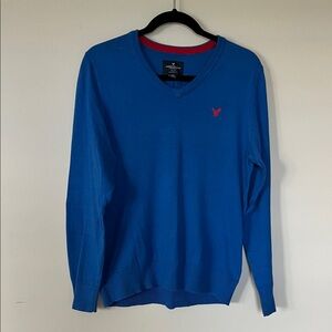 American Eagle Outfitters Blue V-Neck Sweater